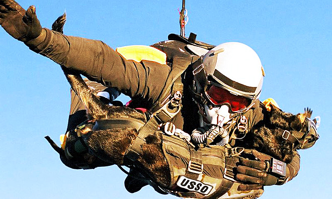 Oklarheten Nojesguiden